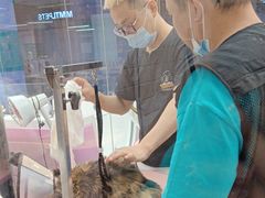 -FAELING PETS美天灵宠物(富力广场店)