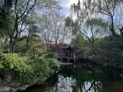 -趵突泉景区