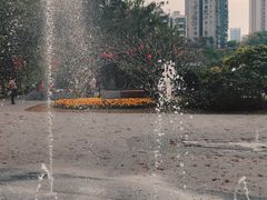 -四海公园(南山区)