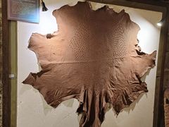 -青岛葡萄酒博物馆