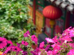 -北京阅微庄四合院文化特色酒店