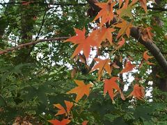 -共青国家森林公园-售票处