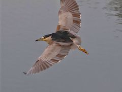 -重庆彩云湖湿地公园