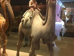 -西安大唐西市博物馆