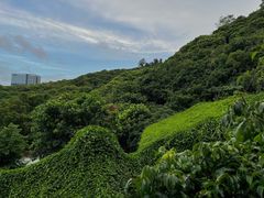 -鲤鱼塘农家山庄