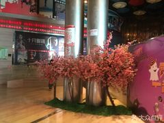 -红星电影世界开元地中海店(RealD杜比全景声)