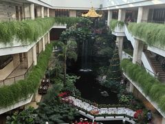 -广州白天鹅宾馆