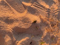 -塞班肯辛顿酒店Kensington Hotel Saipan