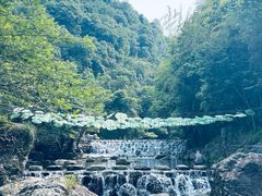 -石台牯牛降景区