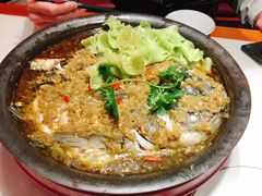 老实人酱椒鱼头-蜀香格格•剁椒鱼头(龙西店)
