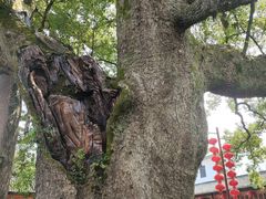 -新安江山水画廊风景区