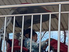 -朝阳公园游乐园