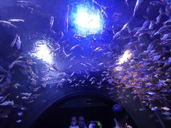 -成都浩海立方海洋公园