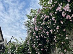 -惠山古镇·寄畅园