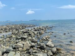 -长江澳风力发电景观区