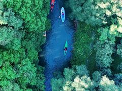 -动邦皮划艇·桨板·独木舟·团建户外运动俱乐部