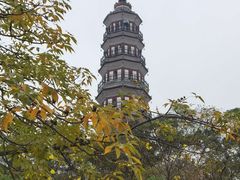 -顺峰山公园