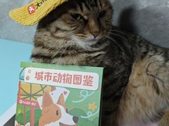 -瑞虹新天地月亮湾