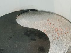 -新精武·少儿武术散打(繁花店)