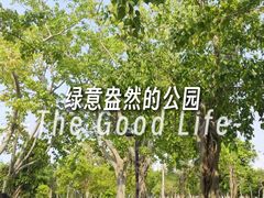-万绿园