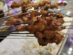 -鼎原力量东北吊炉烧烤(临河街店)