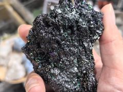 -安徽省地质博物馆