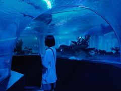 -成都浩海立方海洋公园