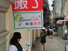 -柠檬车露(卖草地店)