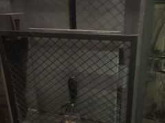 -逃脱反斗城沉浸剧情密室(北京路店)