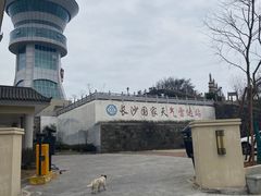 -长沙黑麋峰国家森林公园
