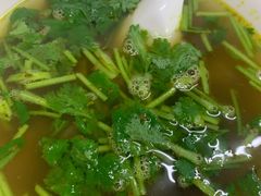 -舒蔡记生煎菜饭(云南中路店)