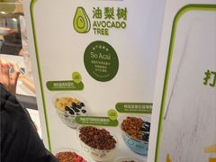 -油梨树AVOCADO TREE(嘉里中心店)