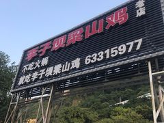 门面-李子坝梁山鸡(李子坝大鸡哥店)