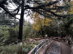 -西安市纺织公园