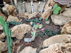 -南通洲际绿博园