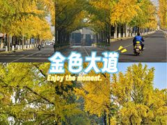 -四川大学(望江校区)