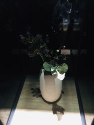 -美壹生诊所皮肤管理中心·海菲秀&Legacy美白舱