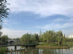 -尚贤河湿地