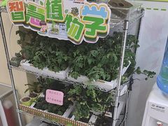 -艾克瑞特AI机器人·少儿编程·STEAM教育(万达校区)