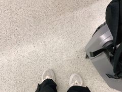 -约翰·菲茨杰拉德·肯尼迪国际机场