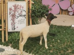 -无锡梅园公园