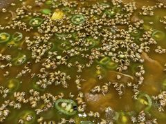 -贡宴盐帮菜自贡驻京联络处餐厅