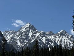 -白马王朗自然风景区