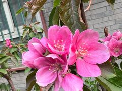 -长椿街(地铁站)