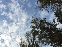 天空-白洋淀景区