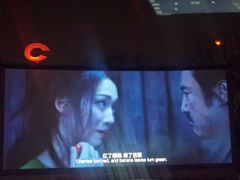 -枫花园汽车电影院(朝阳公园店)