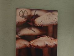 -菌彩云南野生菌火锅(万达广场店)
