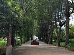 -里格村景区
