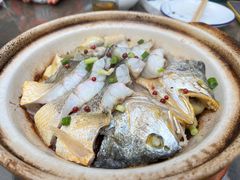 砂锅焗黄花鱼-1937青岛老味道·海肠捞饭·青岛菜(大鲍岛栈桥店)