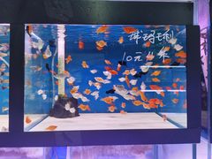 -三旗百汇商品城